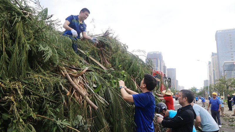 海南省自然資源和規劃廳動員黨員干部參與災后恢復。海南省自然資源和規劃廳供圖