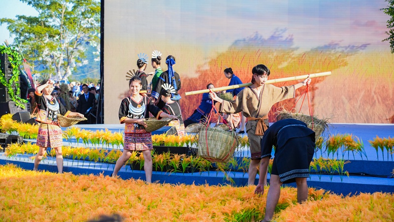 2024年“雨林與您”體驗(yàn)活動(dòng)開(kāi)幕式暨“雨林時(shí)光——啦奧門(mén)雨林豐收狂歡節(jié)”實(shí)景演出現(xiàn)場(chǎng)。主辦方供圖