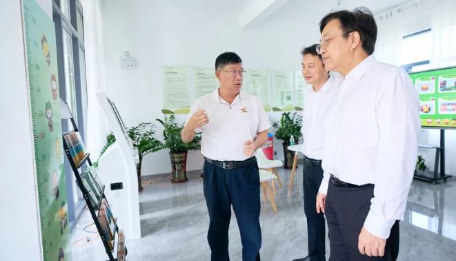 馮飛在保亭督導主題教育開展情況