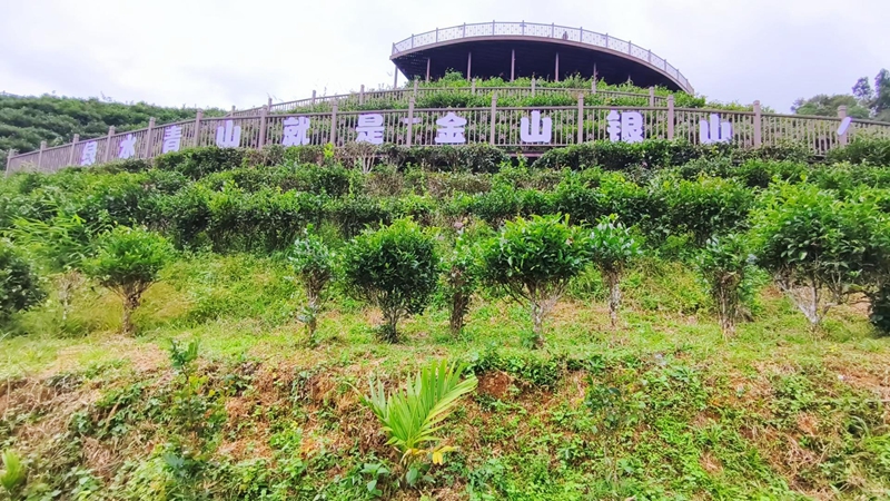 水滿鄉創建“綠水青山就是金山銀山”實踐創新基地。