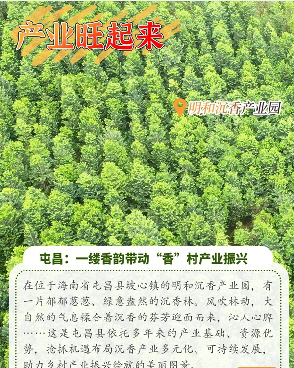 請查收海南美麗鄉(xiāng)村蝶變記