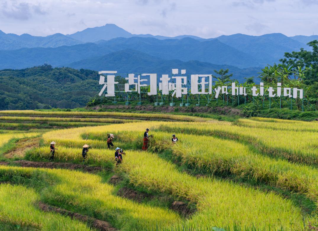 三亞經濟圈鄉村旅游主題線路途經旅游點。三亞市旅游和文化廣電體育局供圖