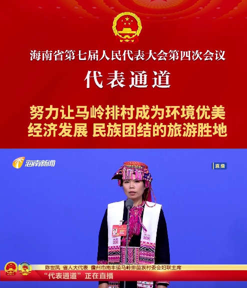 代表通道丨海南省人大代表陳世鳳：努力讓馬嶺排村成為環境優美、經濟發展、民族團結的旅游勝地