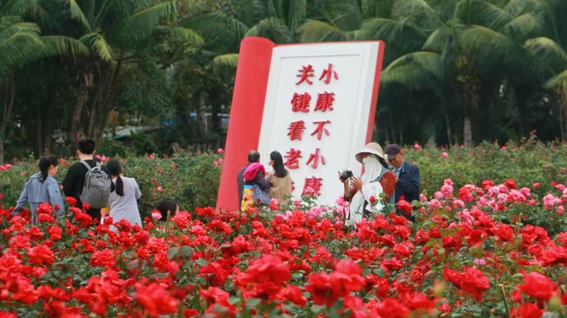博后村。胡魁攝