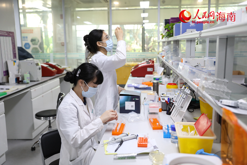 年輕的科研人員專注于實驗工作。 人民網記者 孟凡盛攝