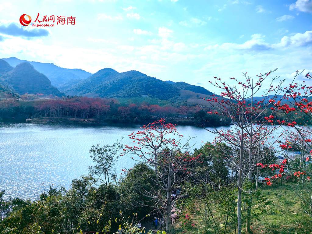 木棉花與青山、江水相得益彰，構成一幅生機盎然的秀麗畫卷。人民網 吳占桂攝