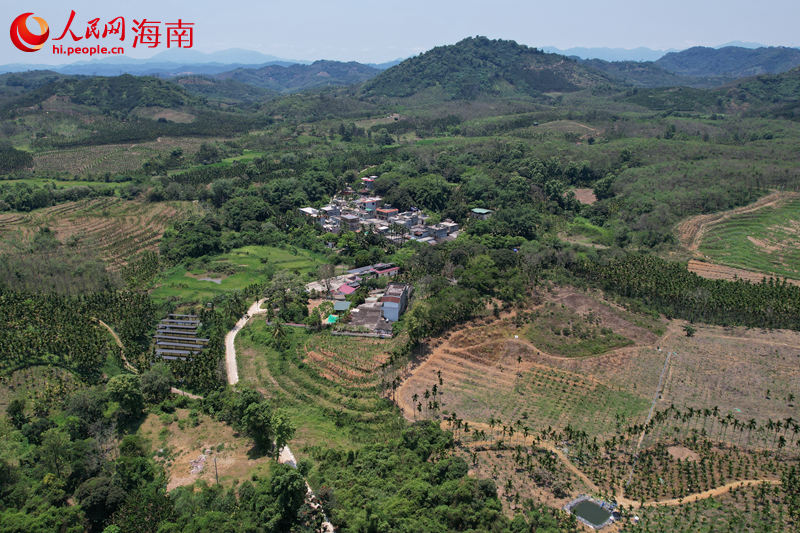 瓊中黎族苗族自治縣長征鎮深聯村。 人民網記者 孟凡盛攝.JPG
