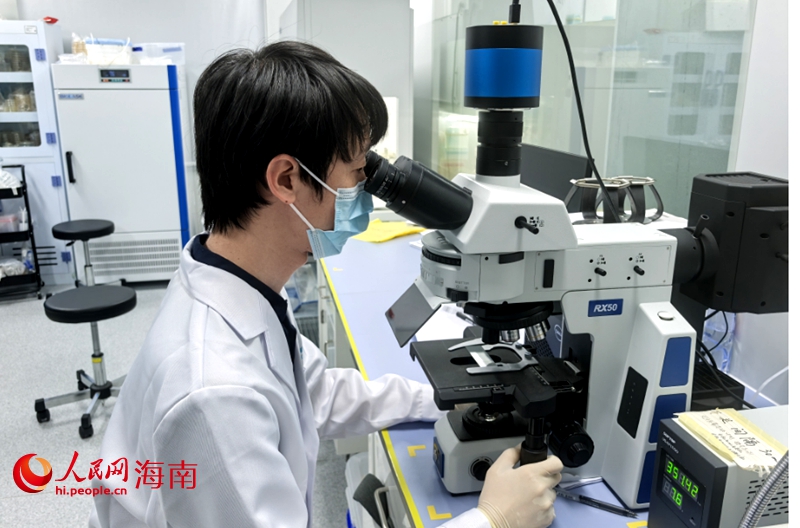 華大生命科學研究院實驗研發(fā)高級工程師韓默在研究深海微生物。人民網(wǎng)記者 毛雷攝
