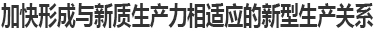 加快形成與新質生產力相適應的新型生產關系