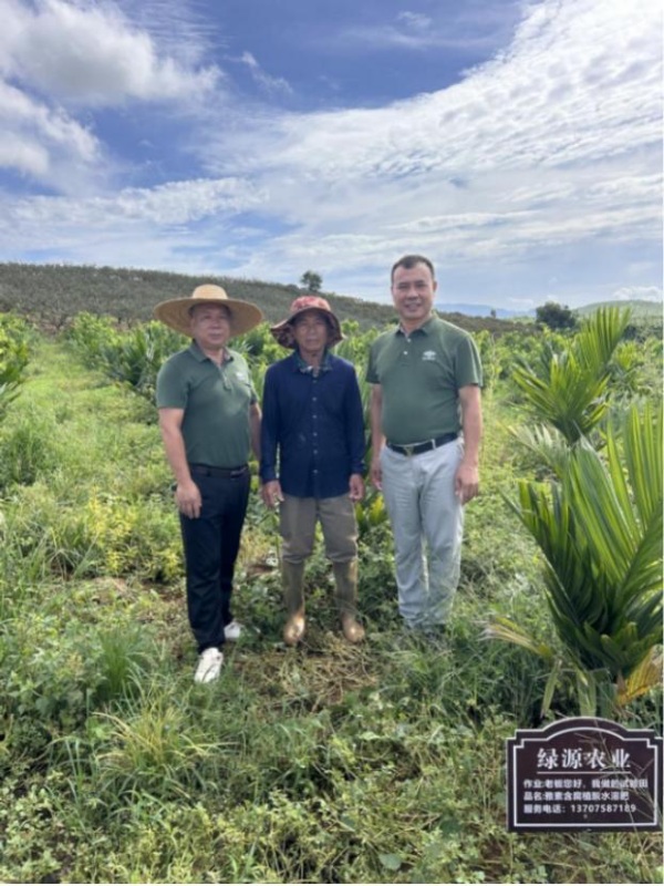 綠源肥業技術員在東方市感城鎮試驗田向農戶細致講解“綠芭丹”科學施用技術，助力綠色種植理念落地生根。.jpg
