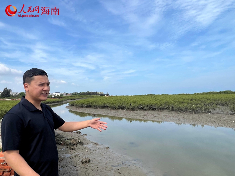 林宏政介紹紅樹林保護修復成效。人民網記者 李學山攝.jpg
