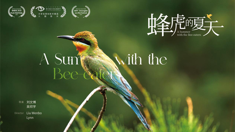 紀錄片《蜂虎的夏天》 海報