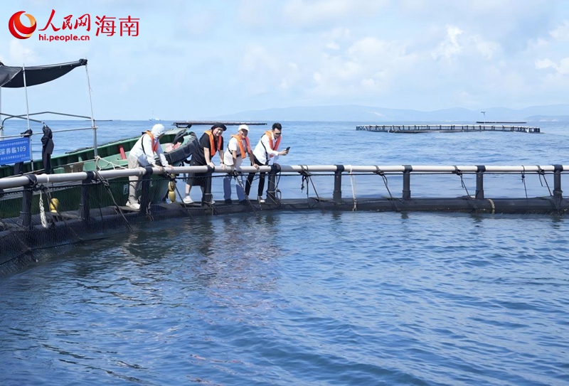 行進中國海南采訪團記者探訪國內首個金槍魚海上養殖示范基地。人民網記者符武平攝