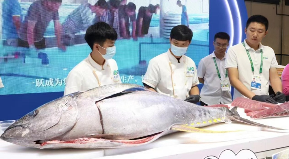 下一個目標→金槍魚自由