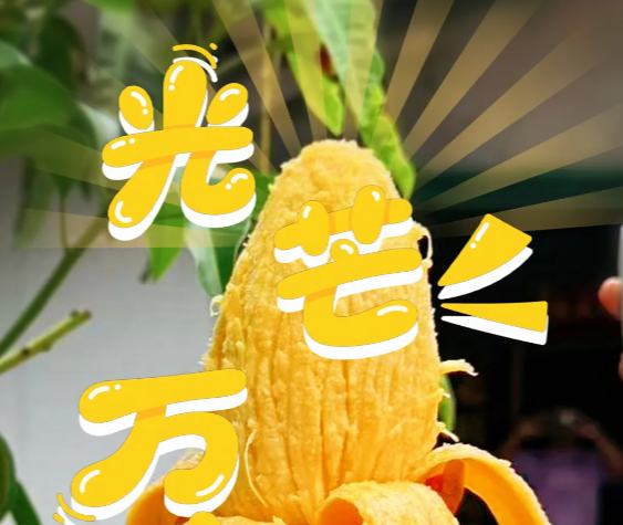 生活再“芒” 也要有點甜