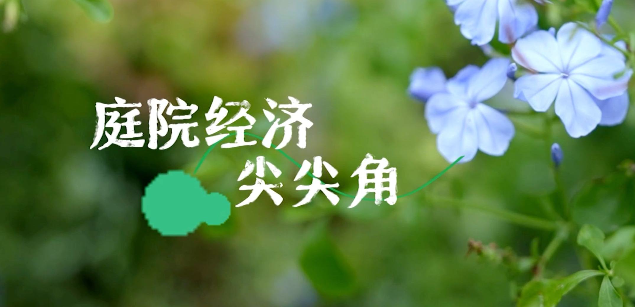 庭院經(jīng)濟尖尖角