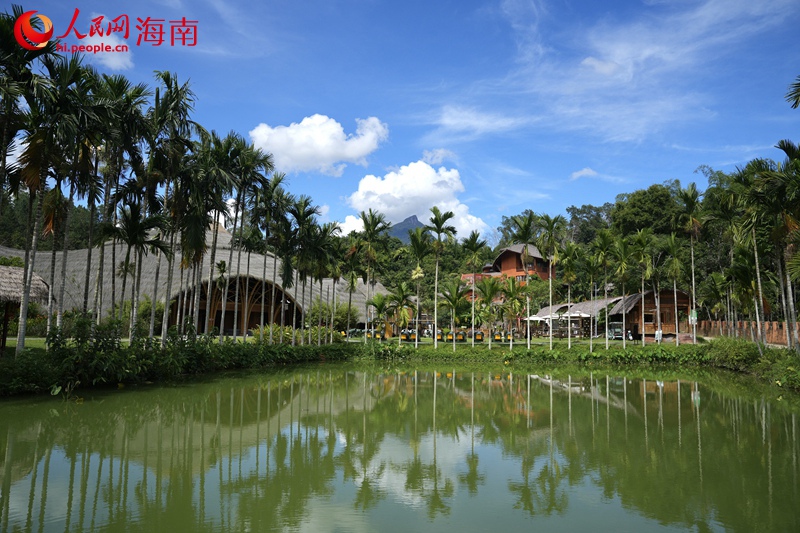 毛納村美景如畫。人民網記者 符武平攝