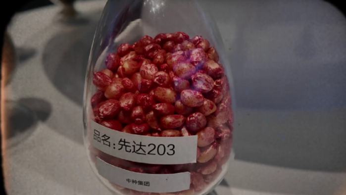 海南藏了“雙芯”密碼！中國“南繁硅谷”在海南三亞！這里是未來科技前沿陣地，種子基因碰撞深海奧秘……